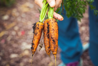 有机食物是“智商税”？有机农学博士揭真相