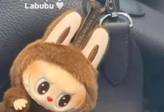 这丑东西，怎么就成了顶流