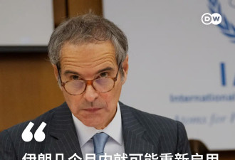国际原子能机构总干事:伊朗可能继续发展其核计划