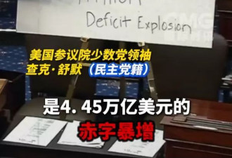 “大而美”省钱还是亏钱？两党参议员持手绘纸板互杠