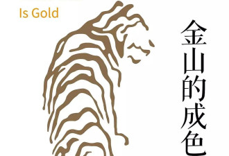 李安筹拍李小龙传记因预算问题搁置 新片《老金山》成本仅三千万美元