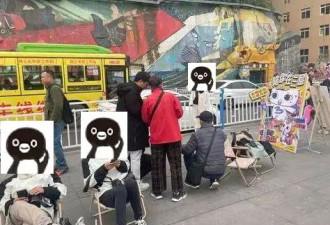 网红景点头号"狗皮膏药",游客烦透了,景区管不了
