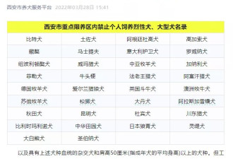 “老祖宗严选为何不让养？”中华田园犬被禁养引热议