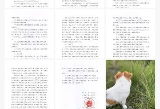 跨省抓捕海棠作者案：一次没有真正受害者的犯罪