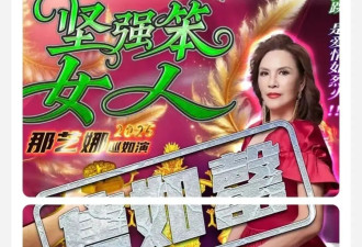 “演唱会的票快比孙燕姿难抢”，土味网红祖师奶真被网友捧成大明星了