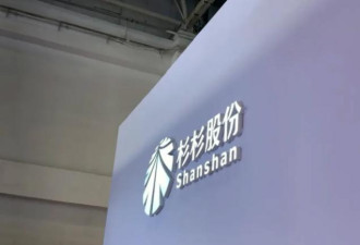 660亿上市公司宫斗：儿子成老赖 后妈面临破产…