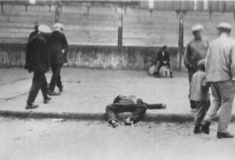 黑土上的尸骸：1933年乌克兰饥荒目击录
