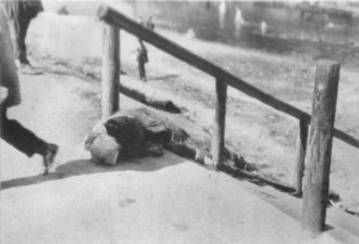 黑土上的尸骸：1933年乌克兰饥荒目击录