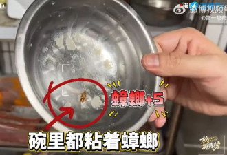 知名餐饮品牌被曝后厨蟑螂横行！成本5元汉堡卖15元