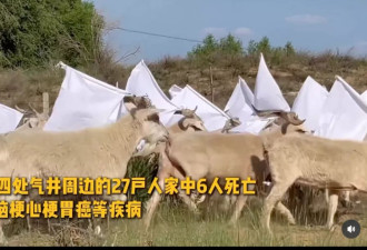寻人启事：行为艺术家坚果兄弟和郑宏斌失联