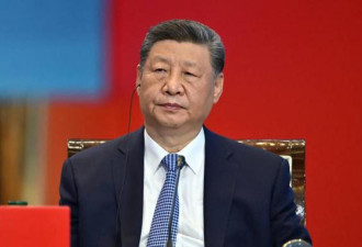 降格出席 中国对金砖国家峰会的判断变了？
