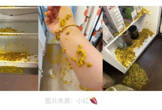2注意！夏季这些东西放冰箱可能会“爆”