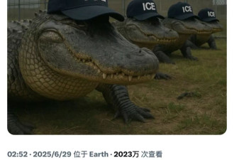 首批被拘留者抵达美“鳄鱼恶魔岛” 越狱就要喂鳄鱼？