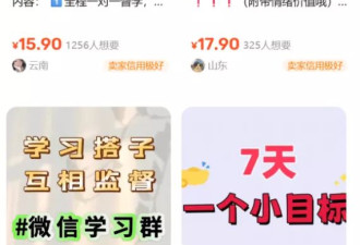 900万年轻人在闲鱼干副业，人均年收入3660.5元