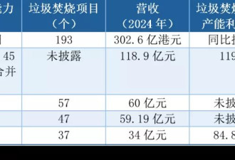 垃圾真的不够烧了？藏在25家上市公司财报的真相