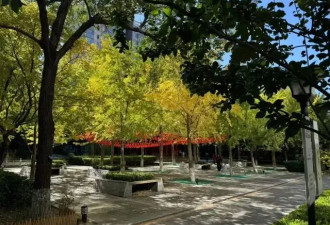 楼层低、采光差，年轻人买房，怎么都只买“树景房”