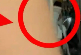 李小璐有二胎了？家中出现婴儿椅和小男孩，疑似删除网友质疑评论