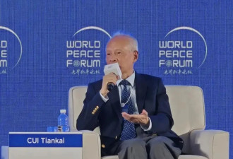 崔天凯：中国就是要统一，这没有什么好商量的！