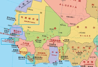“盯上”西非矿产，特朗普将会晤非洲五国领导人