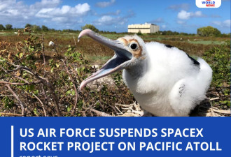 美国空军暂停SpaceX在太平洋环礁的火箭项目