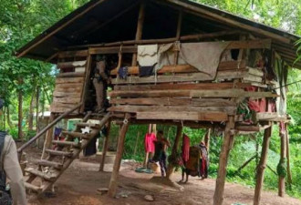 8岁男童遭母遗弃 被狗群抚养 见人只会汪汪叫