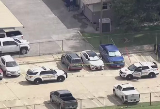妈妈上班八小时，美国九岁女童活活热死在车内