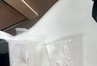 杀死蟑螂后 邻居跳出来怒怼：那是我的宠物