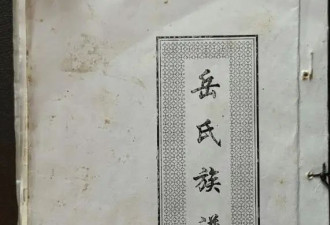 岳飞第35代后人参选港姐！真实身份遭质疑！霸气晒族谱：绝对不是假料