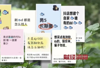 网络水军“黑生意”，充斥小红书、大众点评!