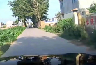 车载摄像头正面直击：河南马路“热到爆炸”！