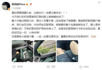 戴燕妮在巴黎被破窗抢劫：化妆师包被抢走腿部被划伤