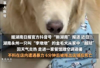 金毛蹭空调被打死 司法部门:组织过调解