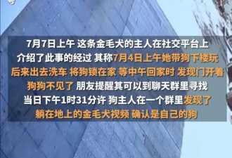 金毛蹭空调被打死 司法部门:组织过调解