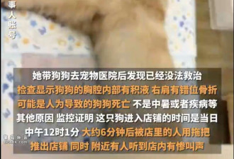 金毛蹭空调被打死 司法部门:组织过调解