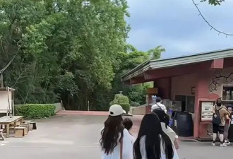 汪小菲太拼！为逗小玥儿开心和野人共舞