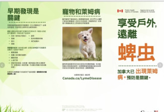 多伦多华人妈妈小区跳操被蜱虫咬！连夜急诊验血X光，账单吓人！