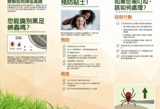 多伦多华人妈妈小区跳操被蜱虫咬！连夜急诊验血X光，账单吓人！