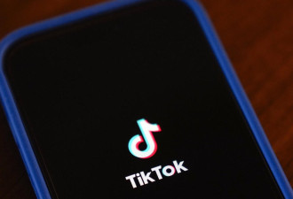 TikTok拟推美国专属版本"M2"应对禁令 9月5日上架