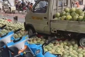 河南摊贩占马路卖西瓜，被带走处理后西瓜遭哄抢