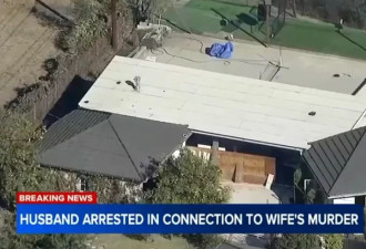 华女名医陈尸 数月后丈夫涉嫌谋杀被拘 正闹离婚