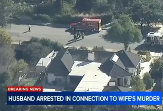 华女名医陈尸 数月后丈夫涉嫌谋杀被拘 正闹离婚