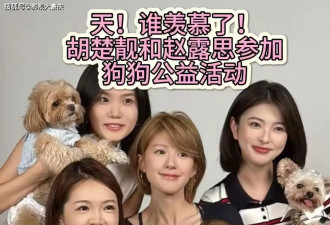 赵露思被曝解约复出失败，处境尴尬，无戏可拍只能倒退做网红