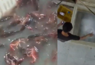 太可怕！南京网红龙虾店用“洗厕剂”洗虾