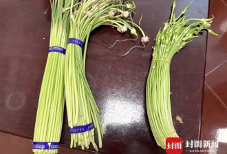 蒜苔是花不能走绿色通道？收费站回应：实为韭苔