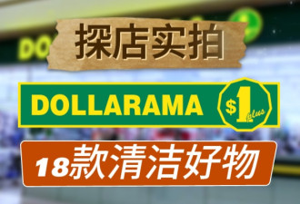 Dollarama原来有这么多清洁好物！18款好物，超高性价比！