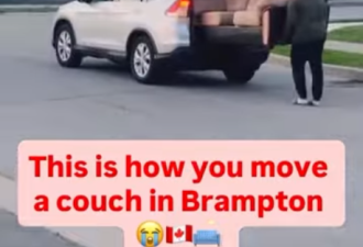 Brampton遍地卧龙凤雏 搬家公司都被你们逼破产了