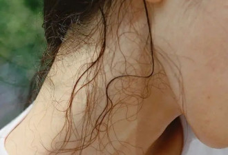 我完美的发型被回南天做局了……
