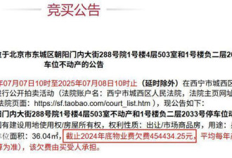 青海隐形首富北京豪宅被拍 到故宫仅15分钟