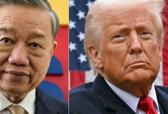 越南拟加大打击贸易欺诈和非法转运 重点针对中国