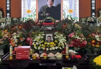 世纪大和解 汪洋吊唁杨少华 调解虎豹兄弟与杨议恩怨